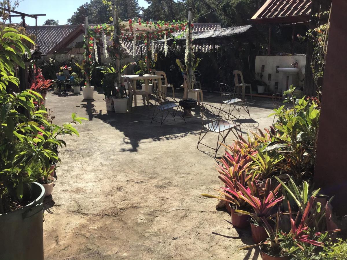 Suitetrails - Kiber transient and holiday home