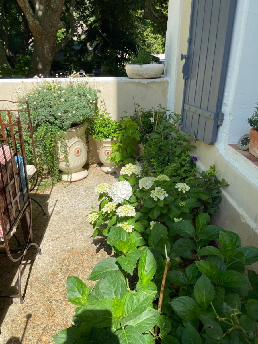 Soleil de Fontaine - Housity