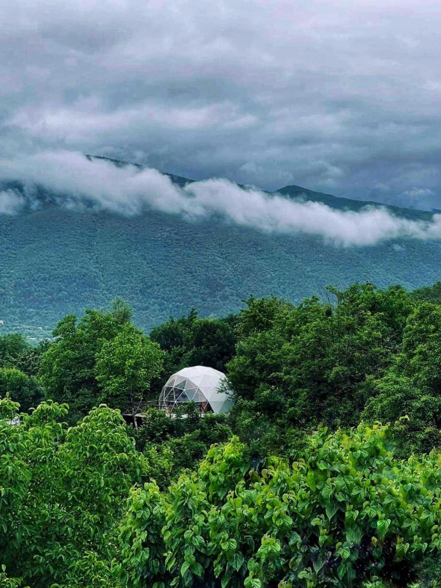 Elsesi Racha Glamping - Housity