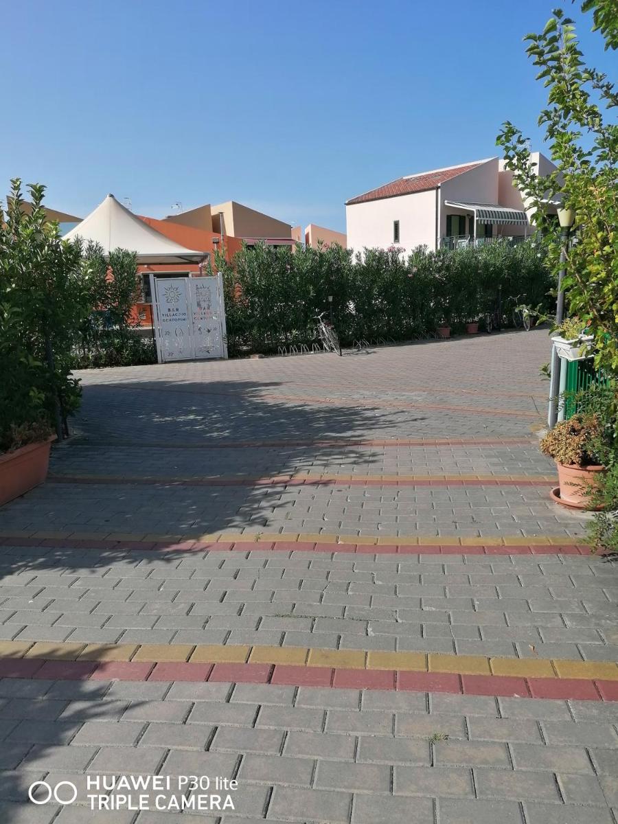 Stella marina - Housity