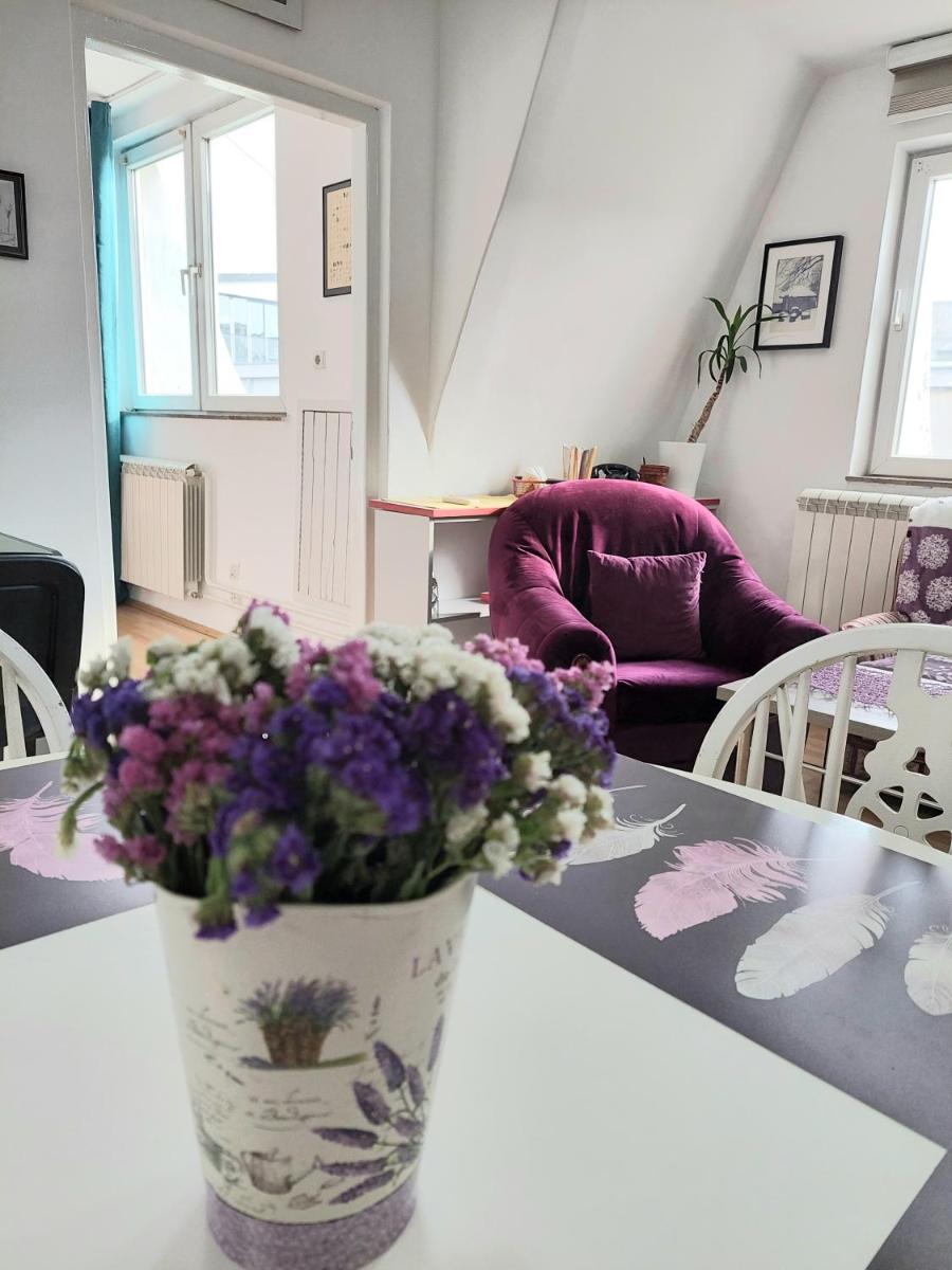 Apartment in the downtown - walking distance all attractions - Housity