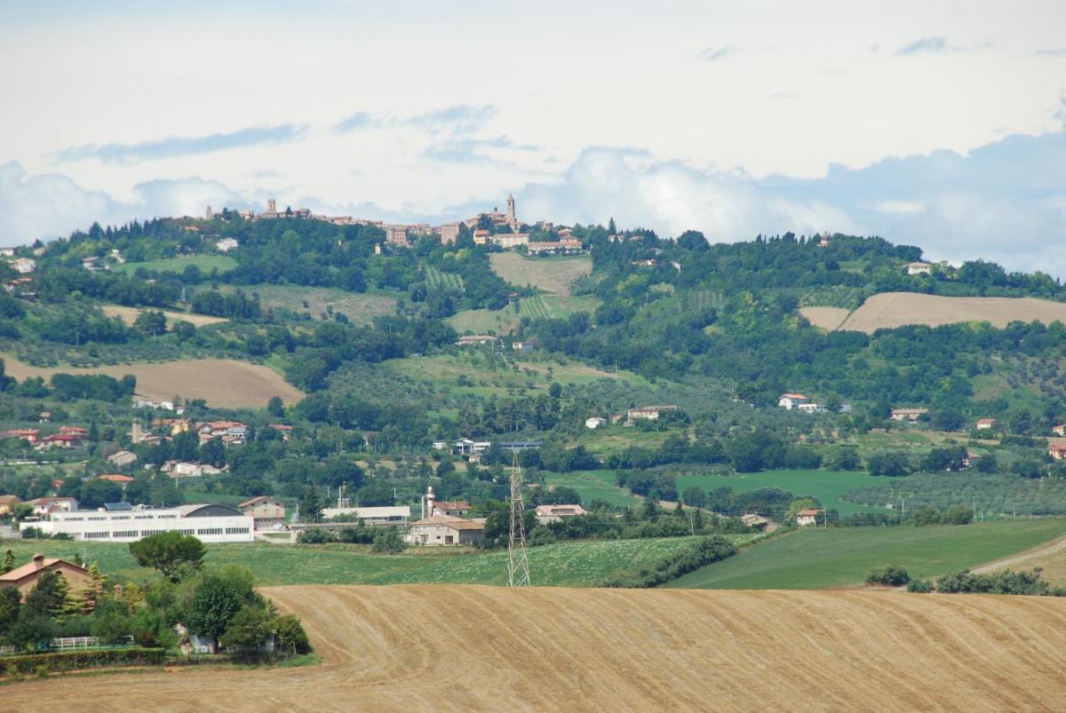Bianco Nuvola - Housity