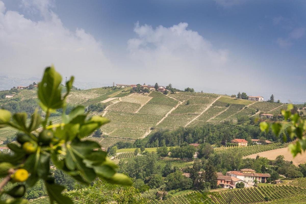 B&B Miellò nelle Langhe - Housity