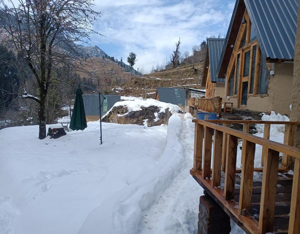 The Bushman by StayApart - Housity