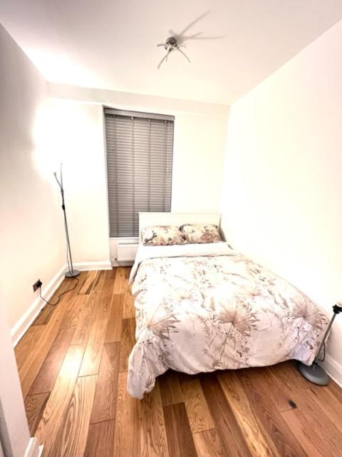 Seymour Street - Housity