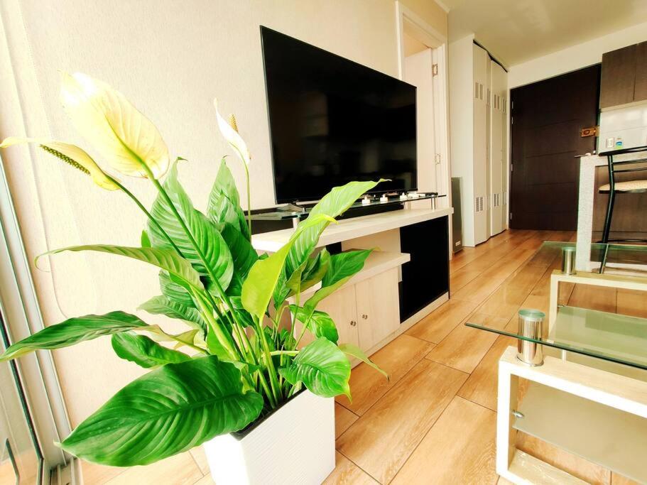 Suitetrails - Exclusivo Súper Romántico/Vista Al Mar Apartamento