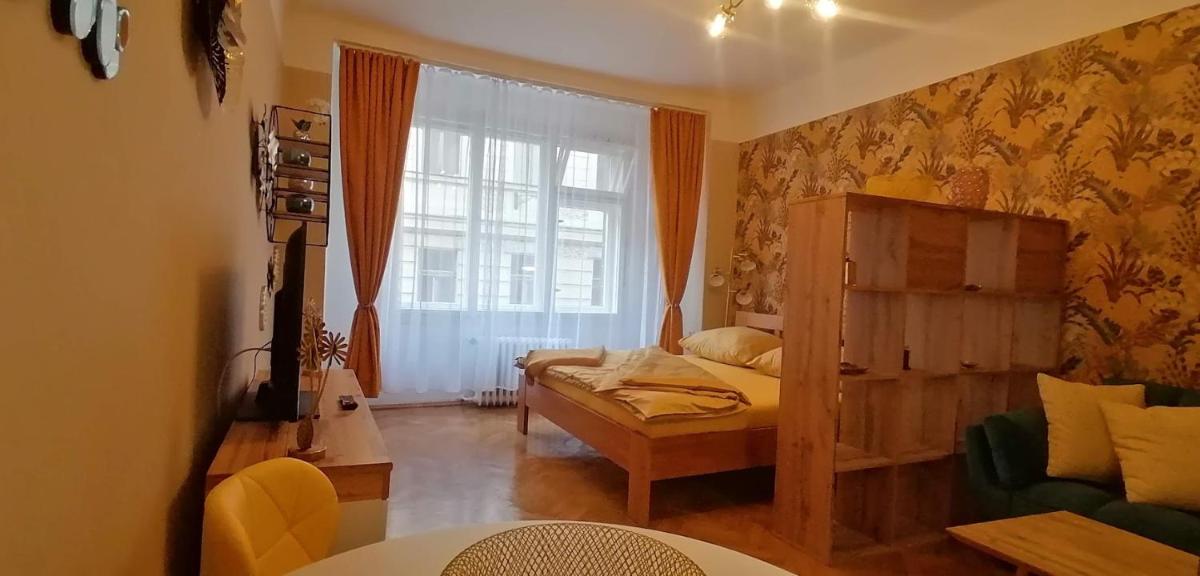 Apartment Jakubská 676 - Housity