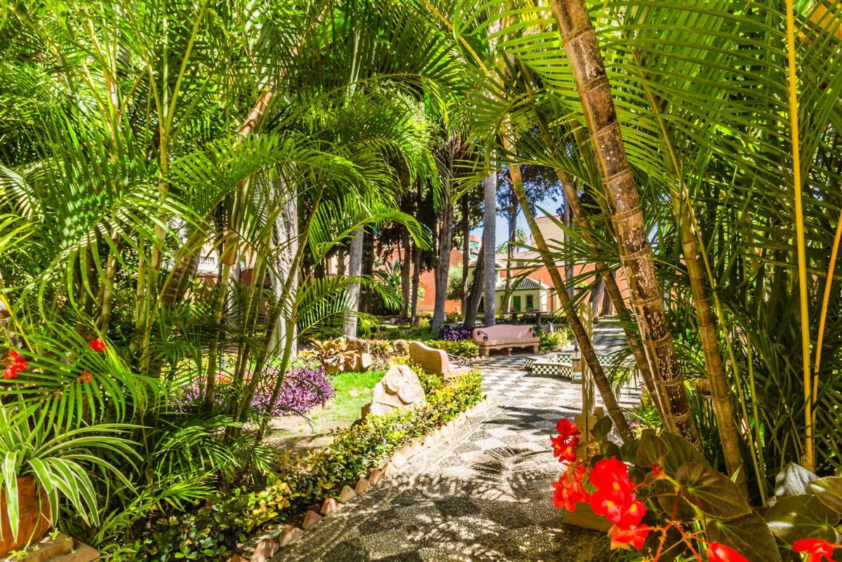 Hostal Tropical - Housity