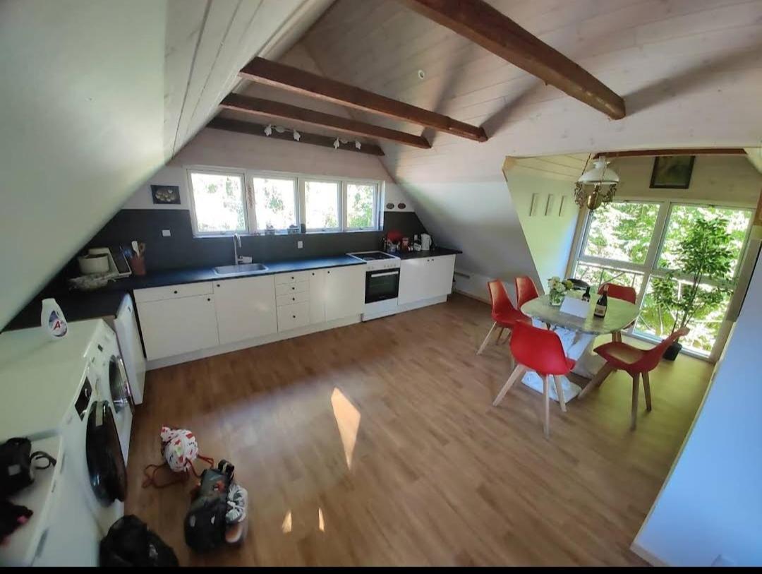 The parrot hotel, live in a rescue animal park - Housity