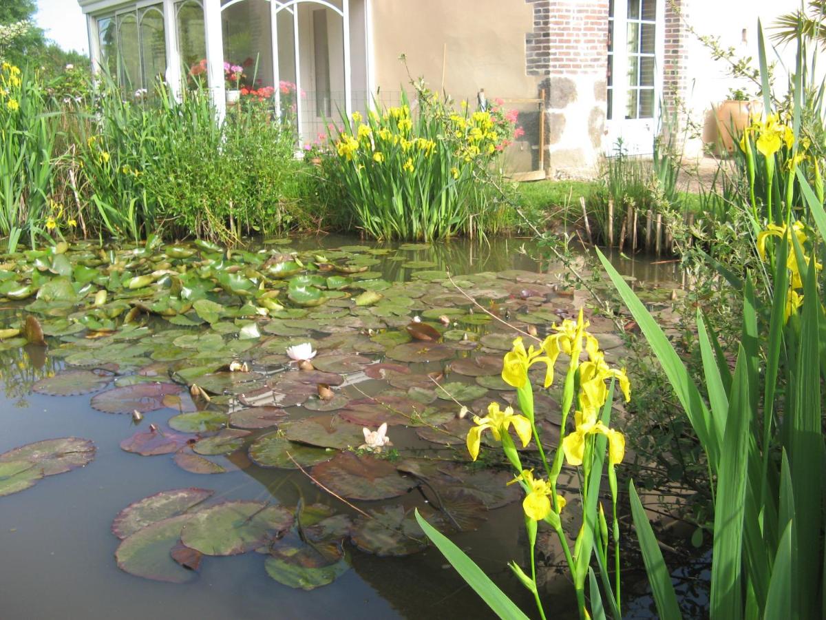 Coin de nature en Puisaye - Housity