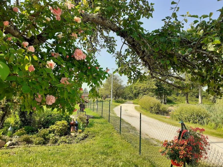 Coin de nature en Puisaye - Housity