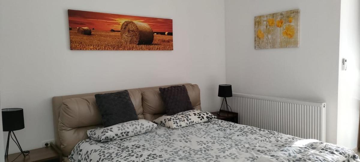 Apartament cu 1 camera spatios ,luminos . - Housity