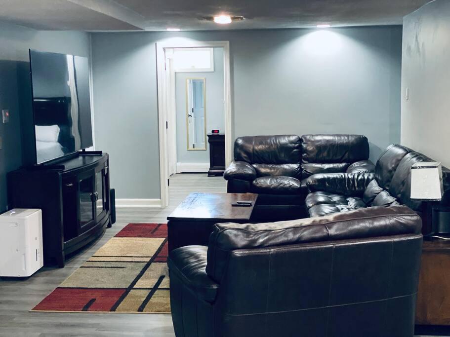 Cozy 1 Bedroom Apartment - Housity