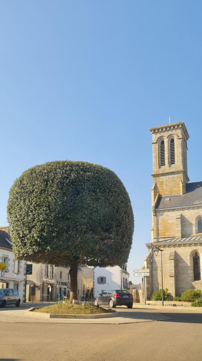 Grande Maison dans le Bourg de Nevez + jardin - Housity