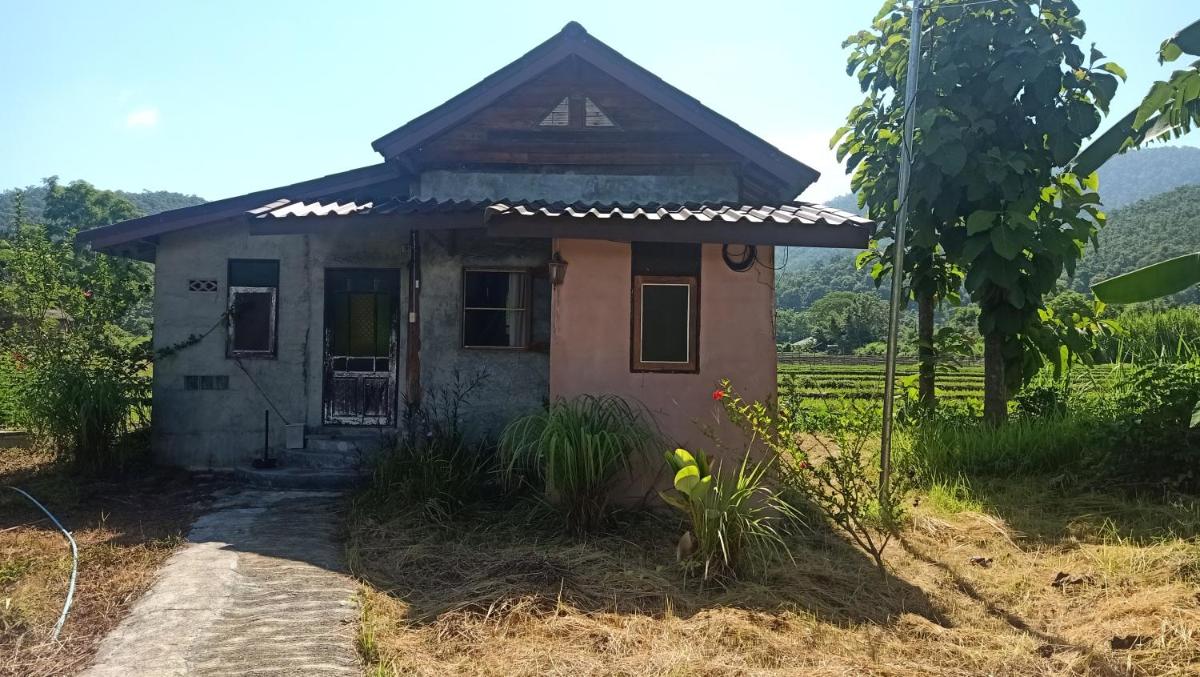 Ing Doi Guest House - Housity
