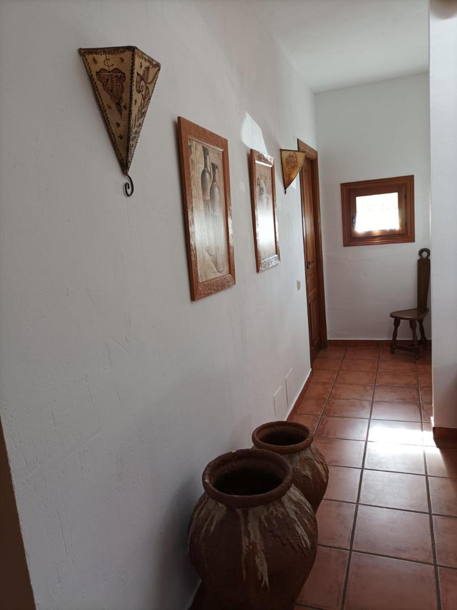 La Casa de los Gatos - Housity