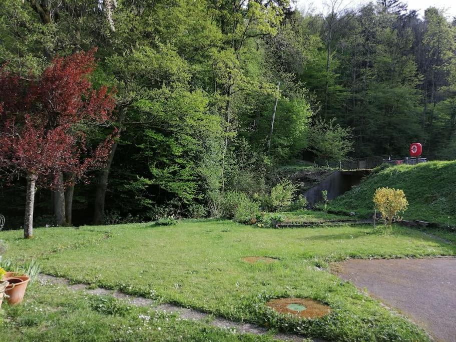 Appartement entier dans un écrin de verdure - Hizvo