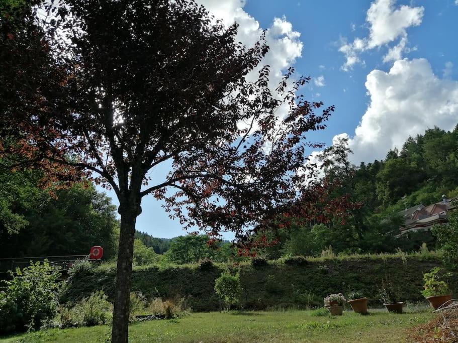 Appartement entier dans un écrin de verdure - Hizvo