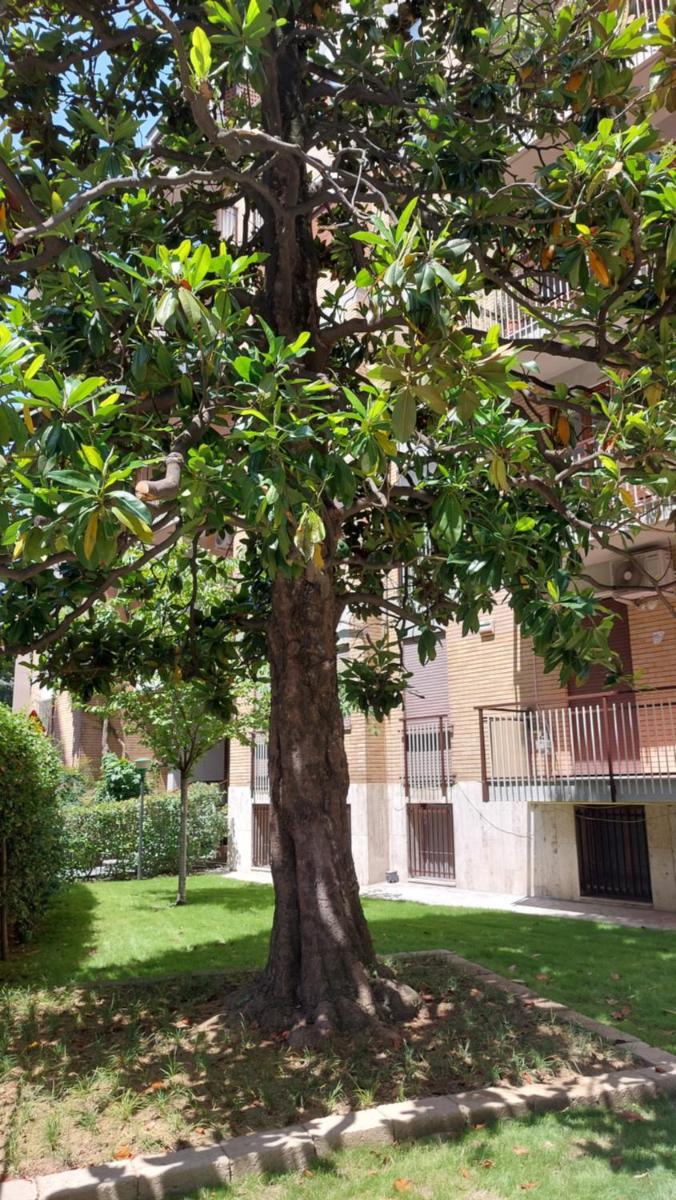 Milano Fashion Apartment Zona Tortona - Housity