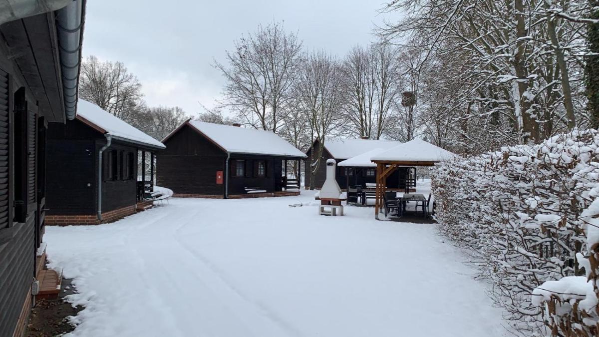 Bungalowdorf Lübben - Housity