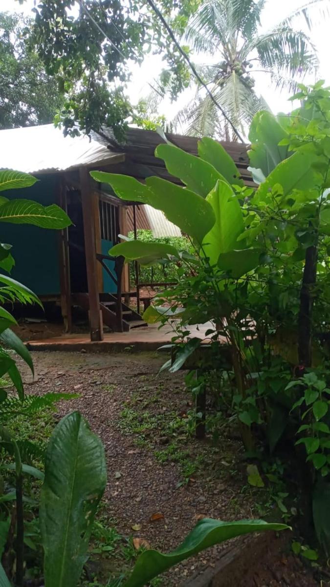 Mohagine Hotel - Housity