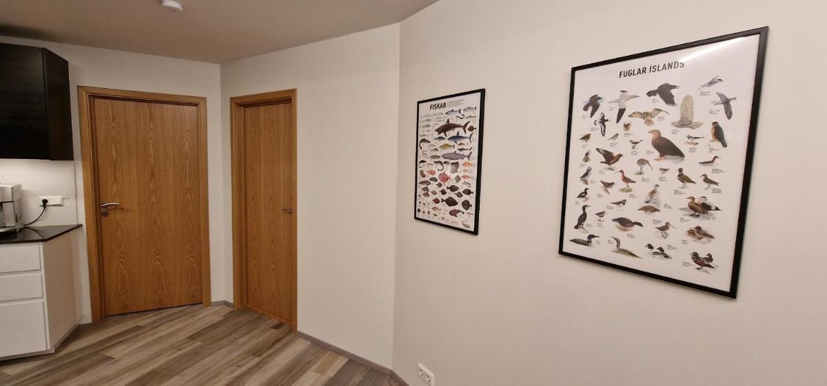 Lovely 2-bedroom apartment in Kopavogur - Housity