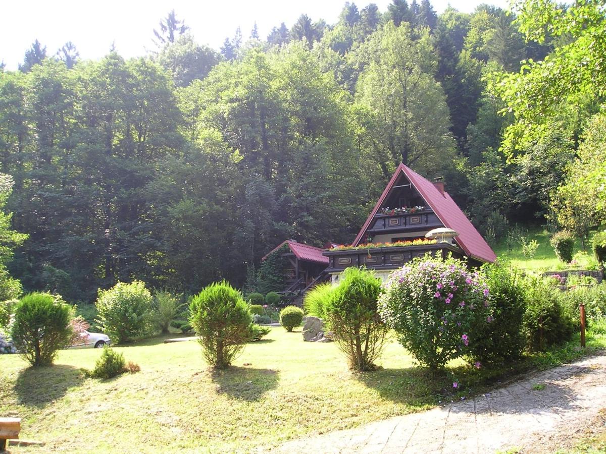 Holiday house with a parking space Gusti Laz, Gorski kotar - 17993 - Housity