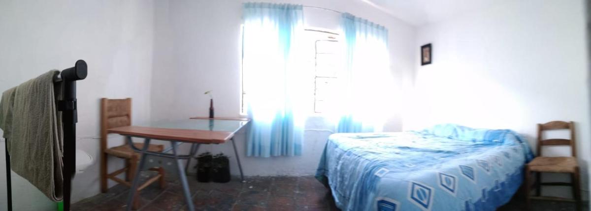 SencilloDepaXalapaCentroCocinetaWIFI - Housity