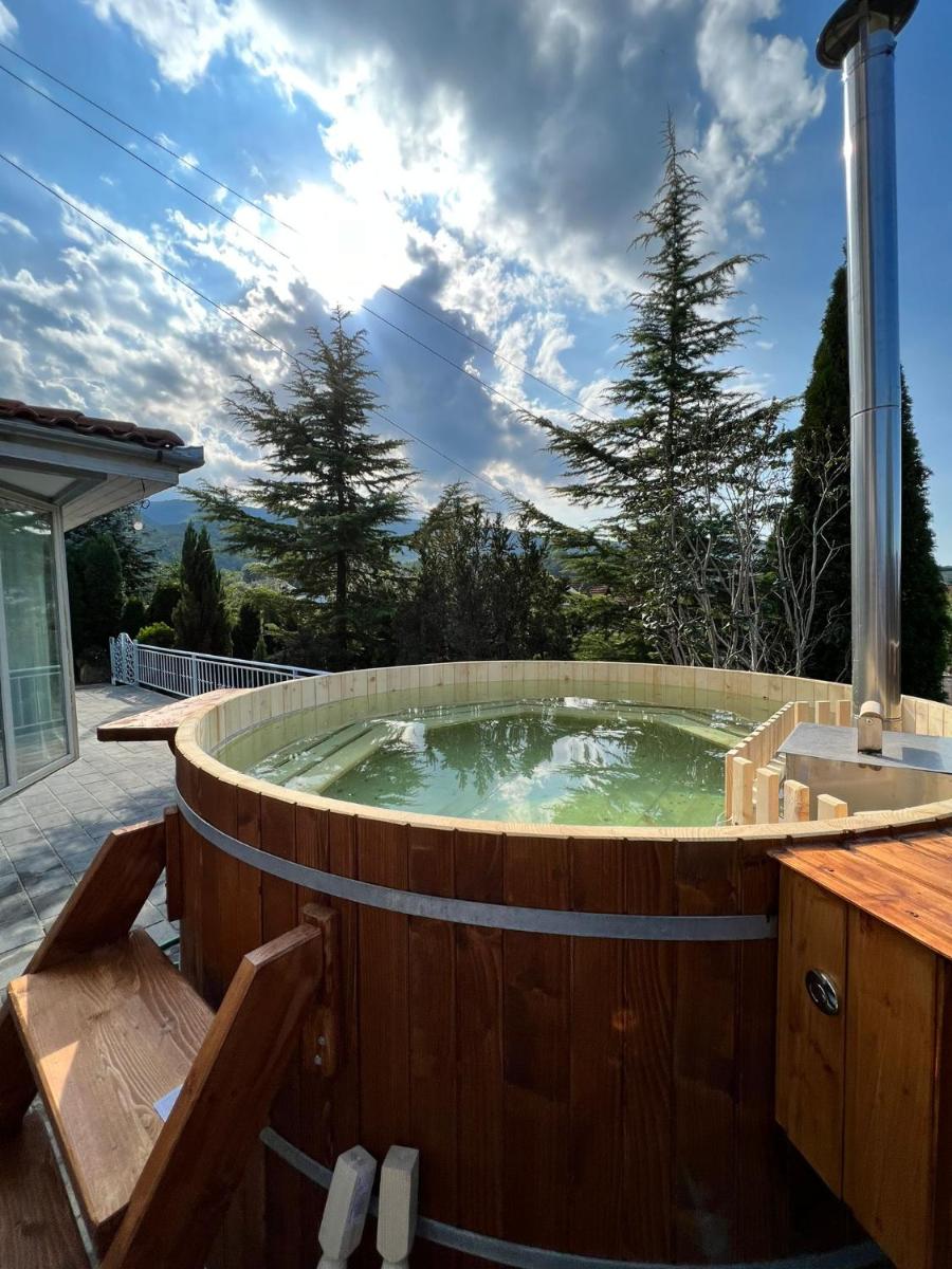 Pensiunea Romantic - Housity