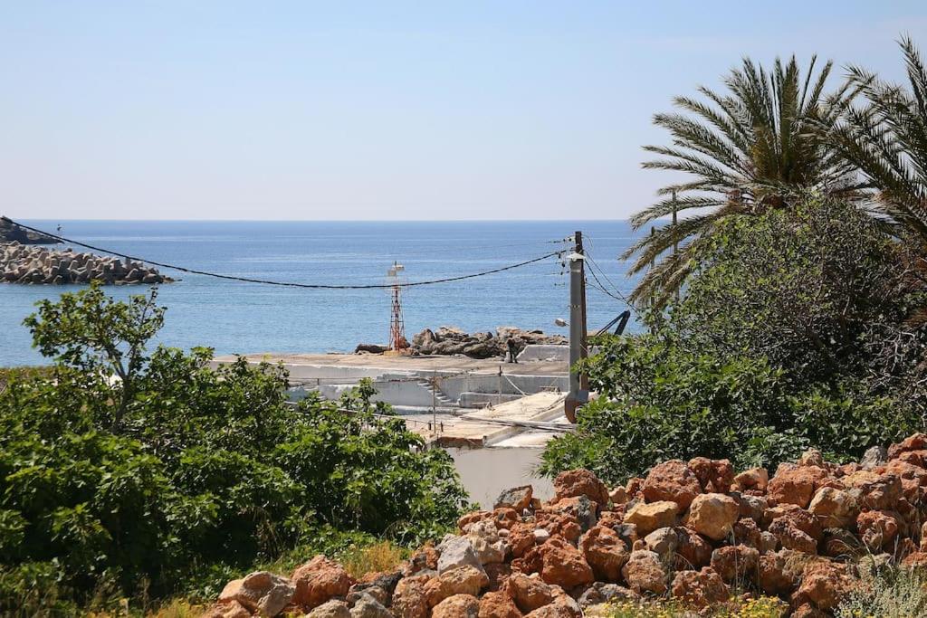 On The Beach Apartments - Housity
