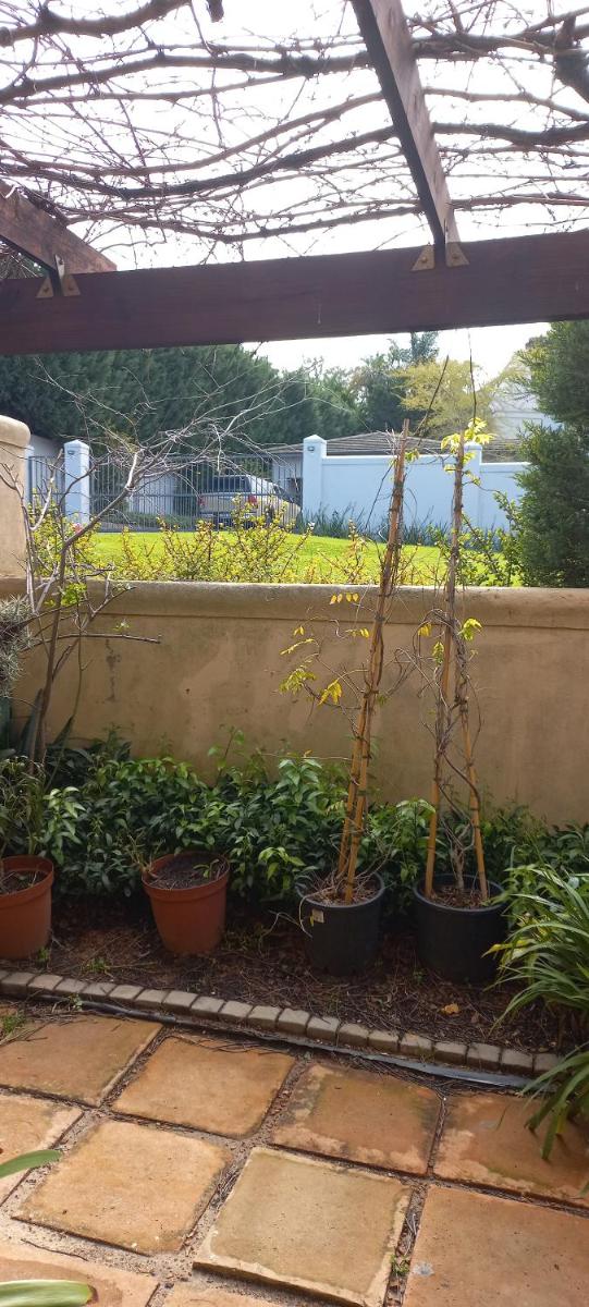 Tranquility Studio Apartment - Housity
