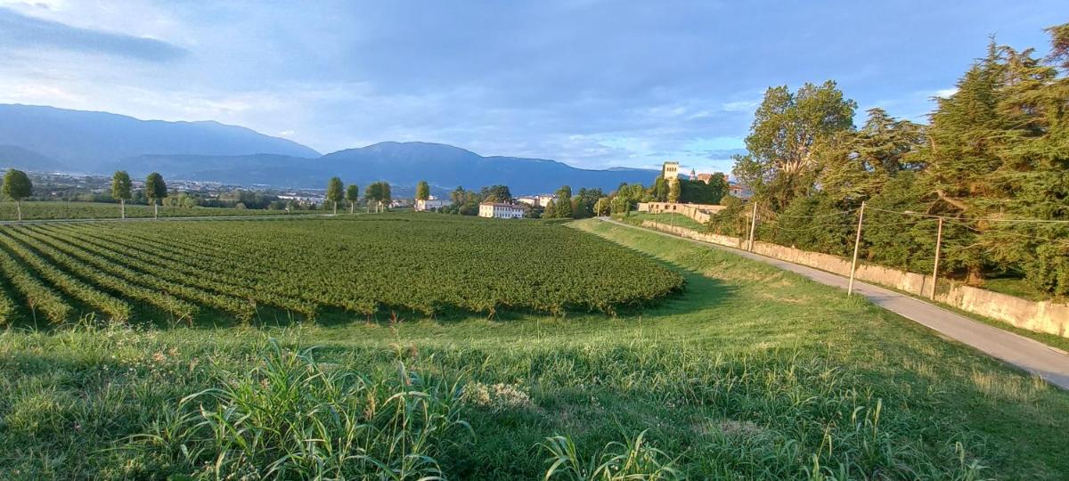 Torretta sul Colle - Housity