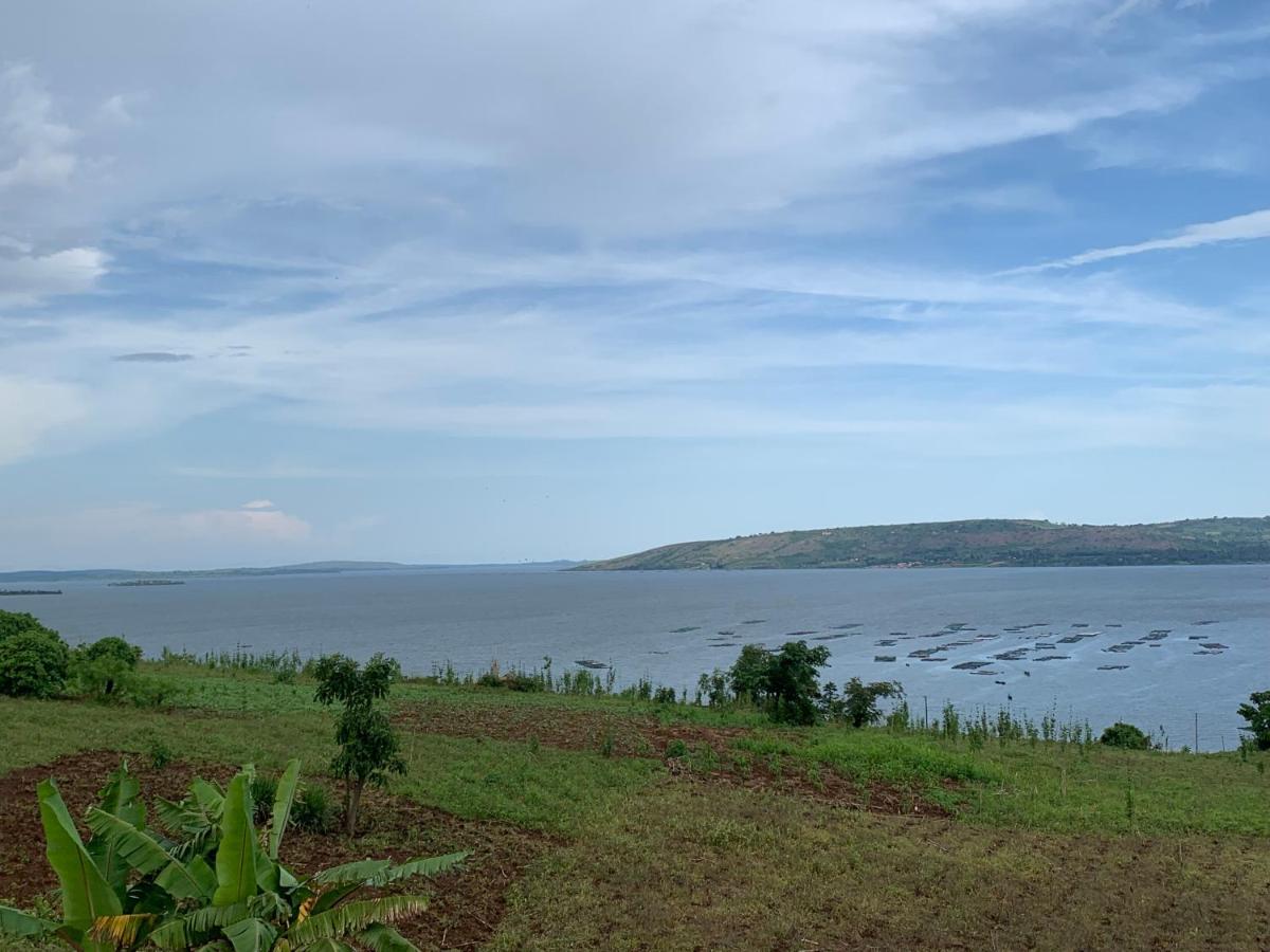 MASESE VILLAS - Housity