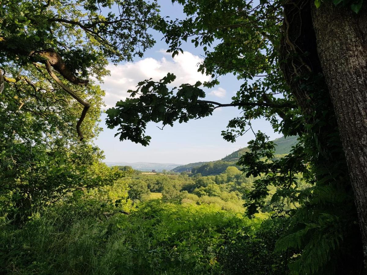 Abernaint Fawr, Crugybar, Llanwrda - Housity