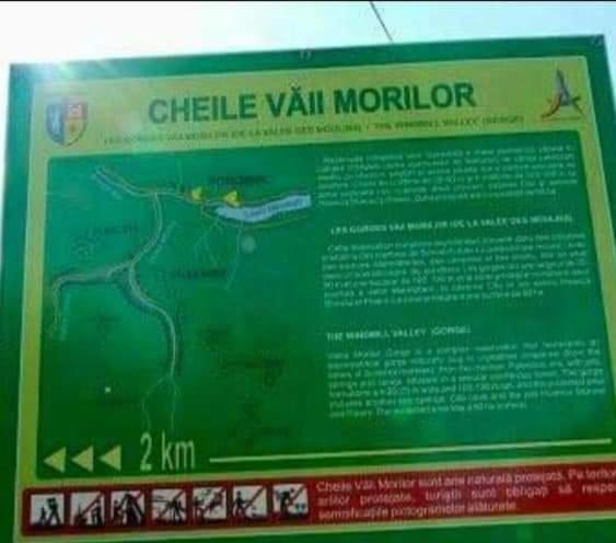 Căsuța Moțului - Housity