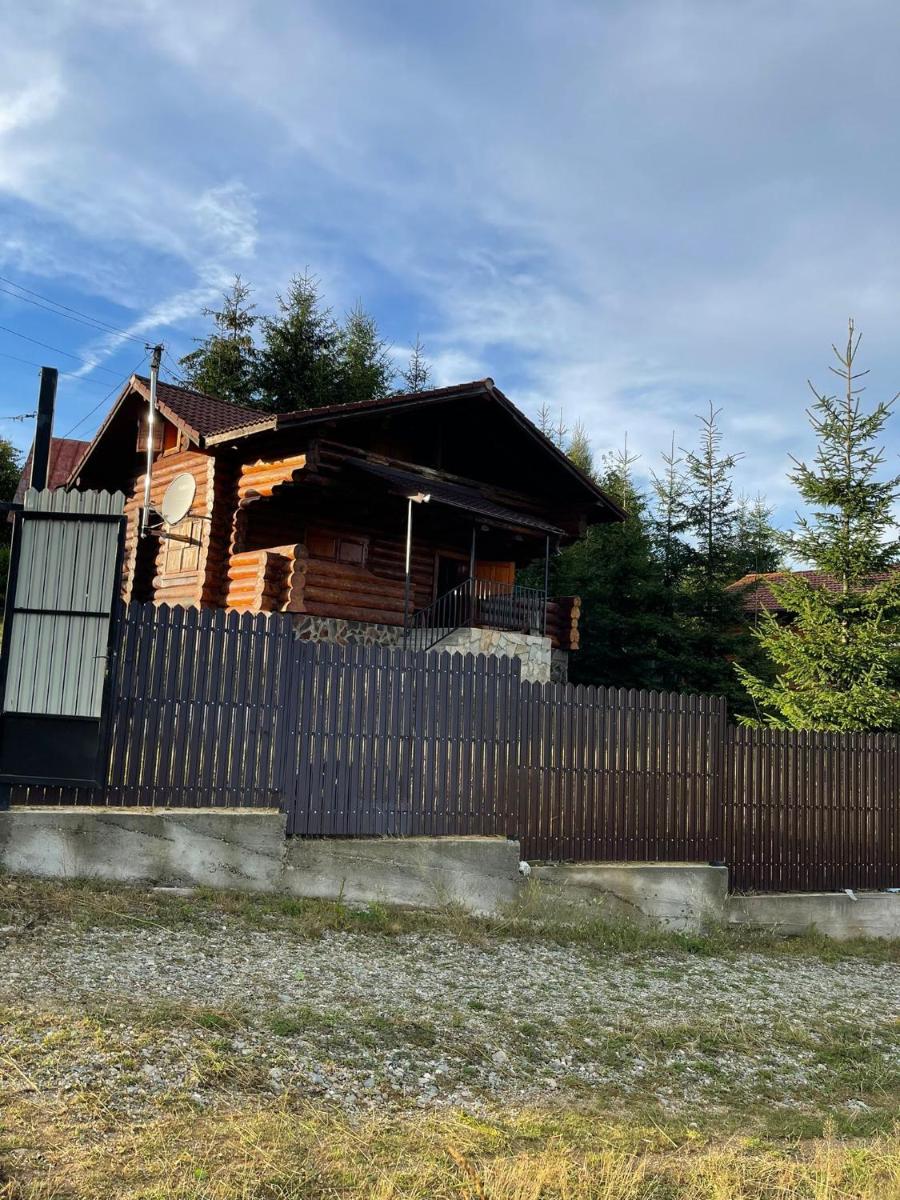Cabana din Bușteni - Housity
