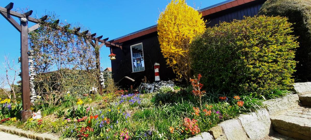 Fewo Gademow - Housity