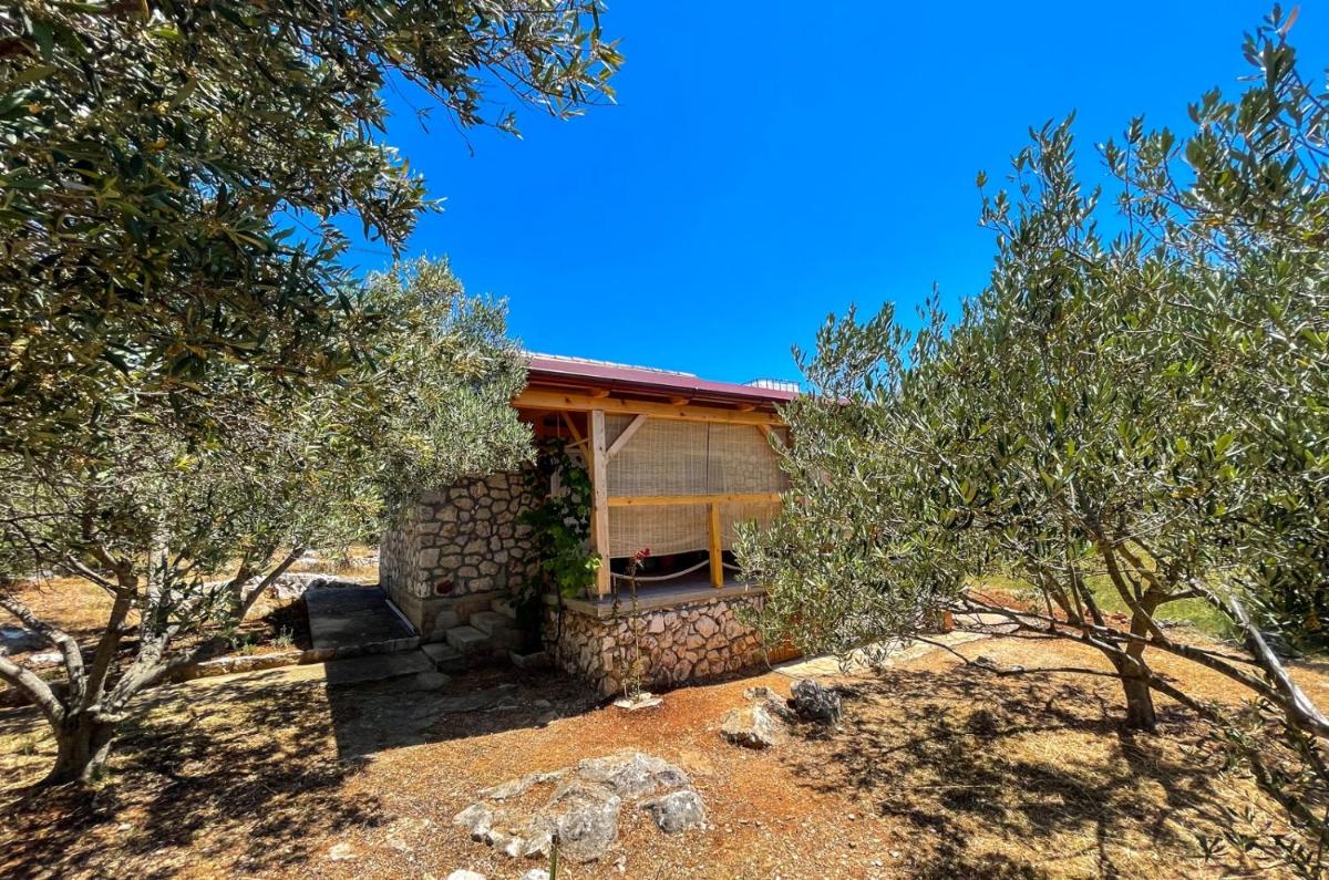 Seaside house for families with children Cove Sveti Ante, Pasman - 19467 - Housity