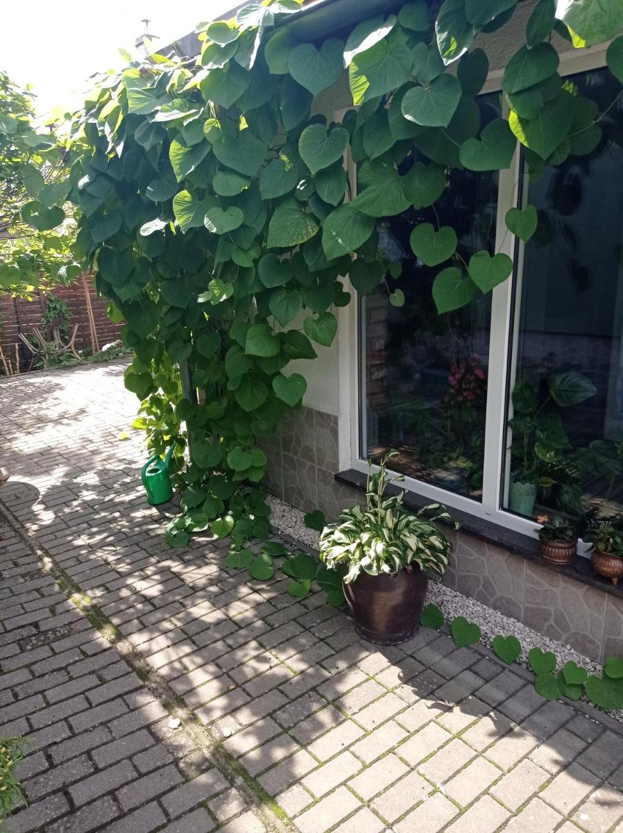 Pokoje Gościnne Cisowa - Housity
