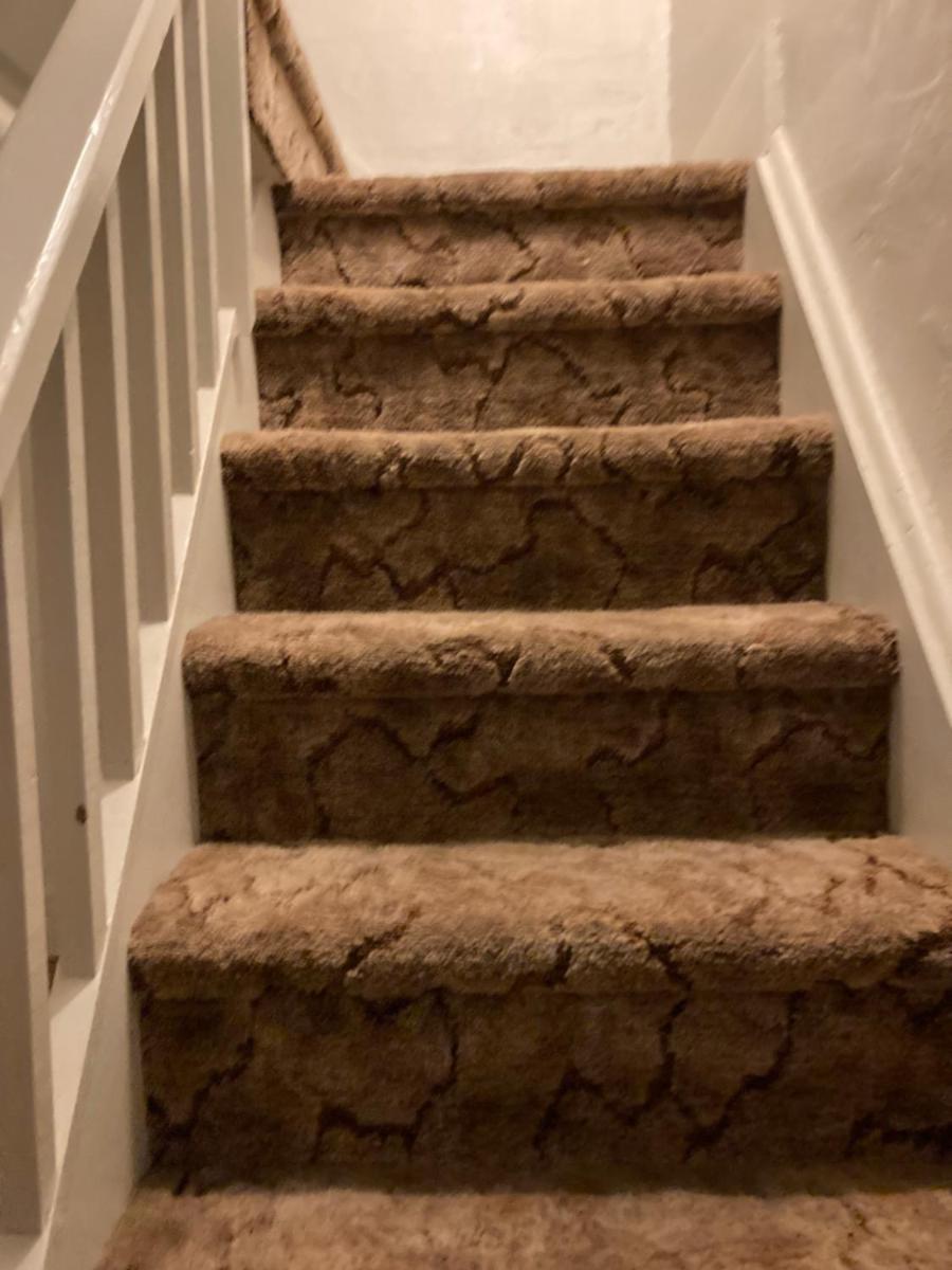 Quiet upstairs studio close to town 420 friendly - Housity