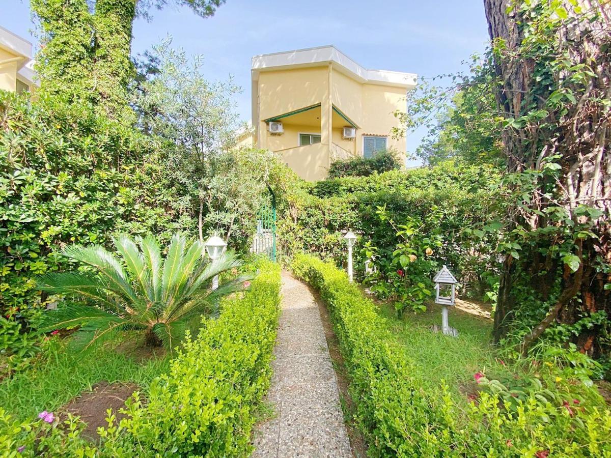 DavEli House - Housity