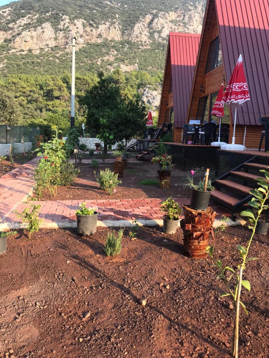 Adrasanelisebungalows - Housity