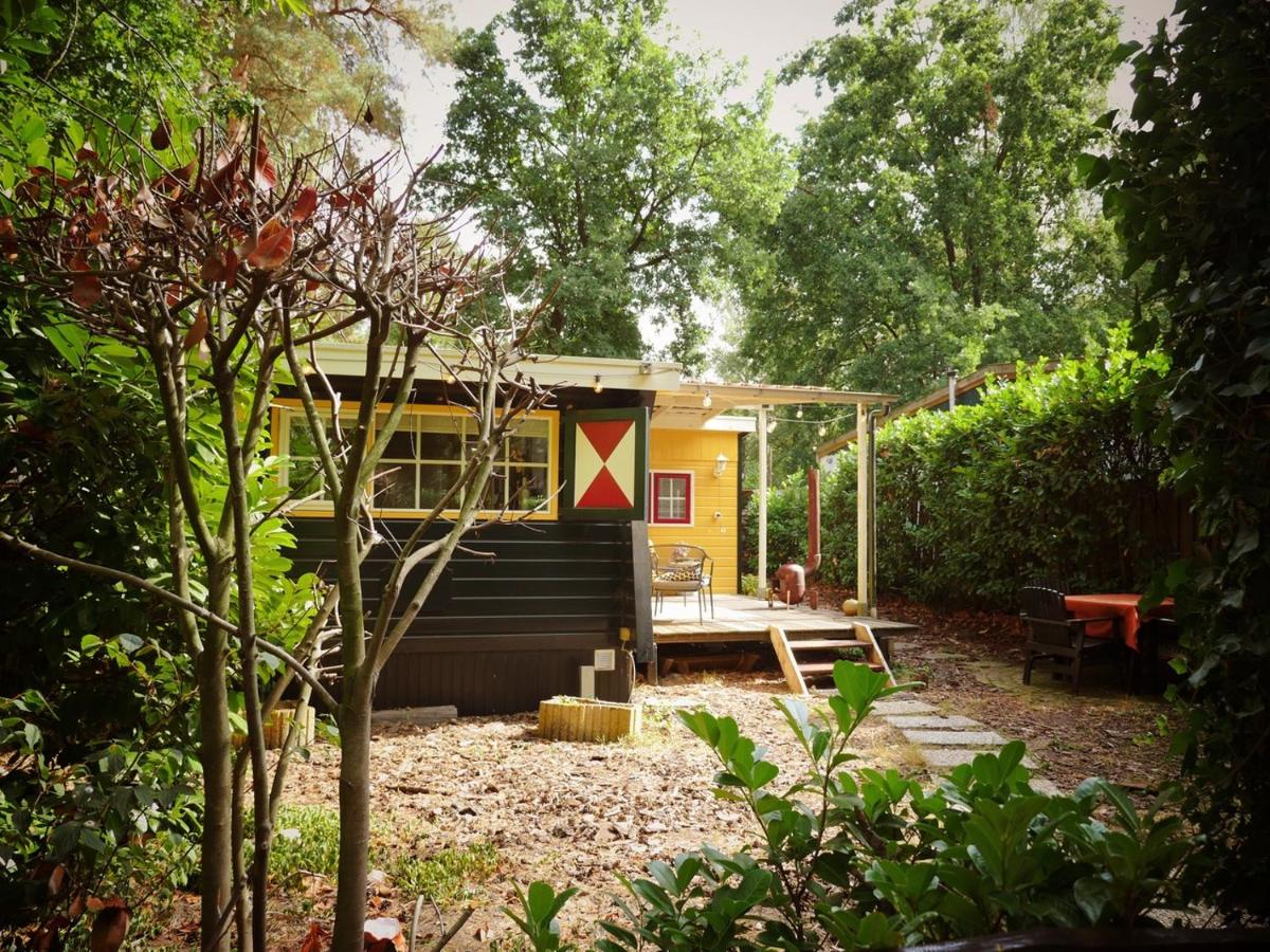 Perfect get away - Cosy Cabin in the Woods - Housity