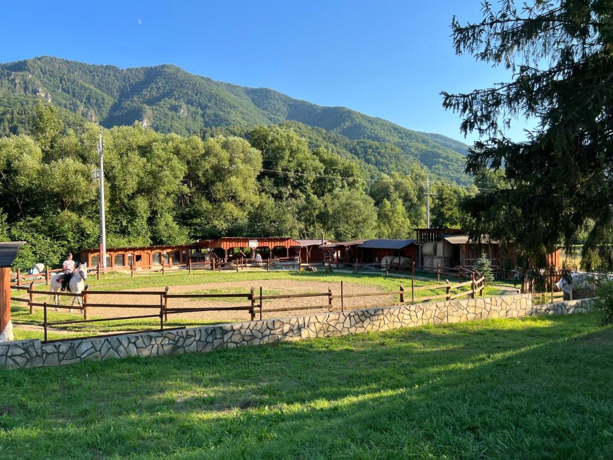 Apartmán Kykula - Terchová, Vyšné Kamence 1520 - Housity