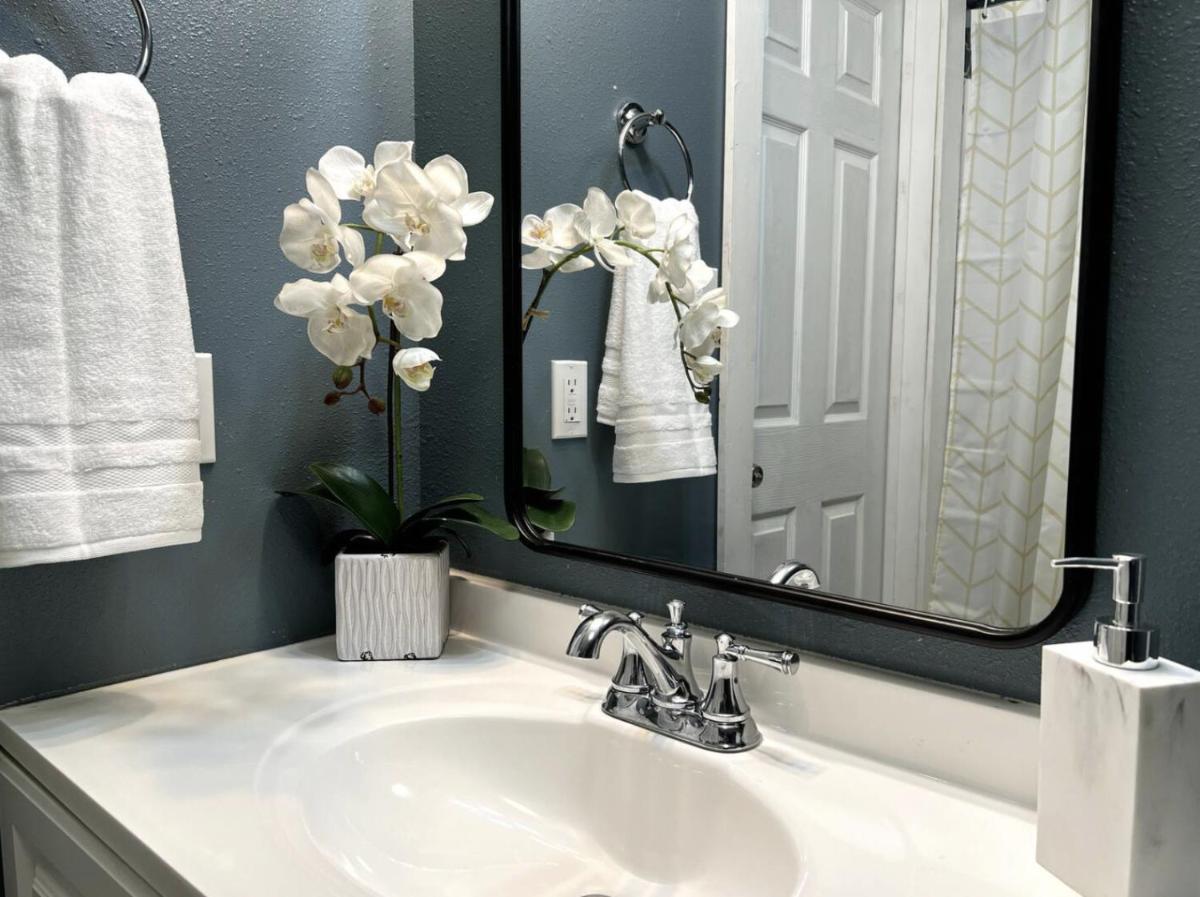 Powderly Palms - Housity