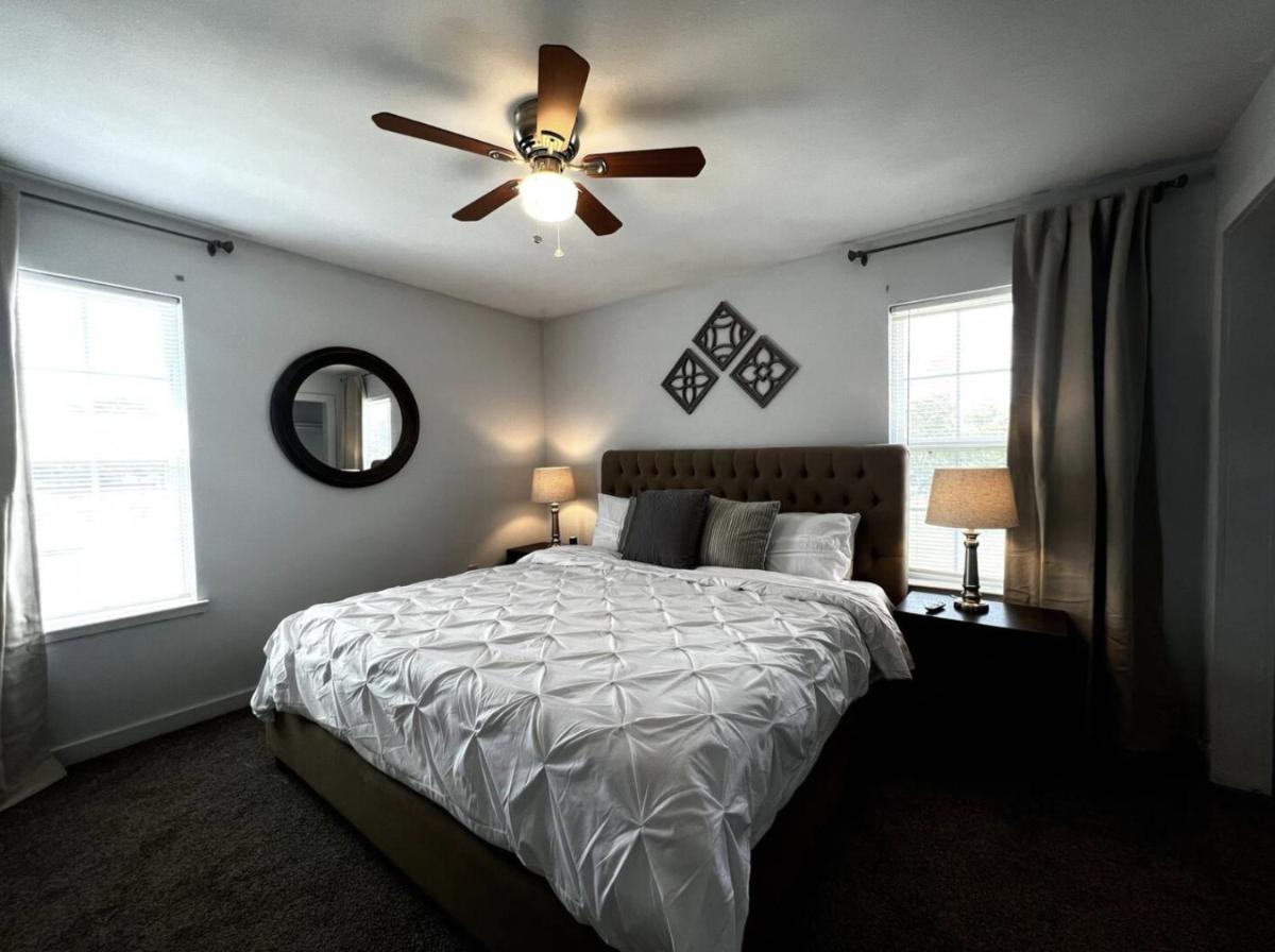 Powderly Palms - Housity