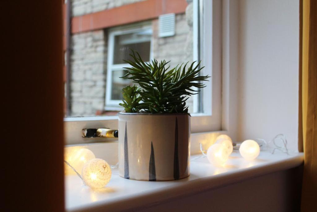 Cheery Craigie ground floor apartment - Housity