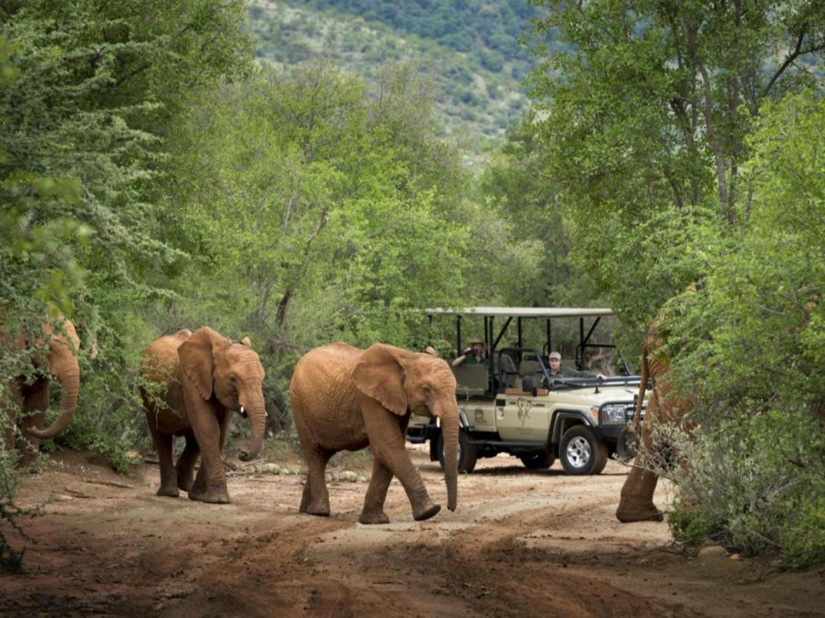 Mbazo Safaris - Housity