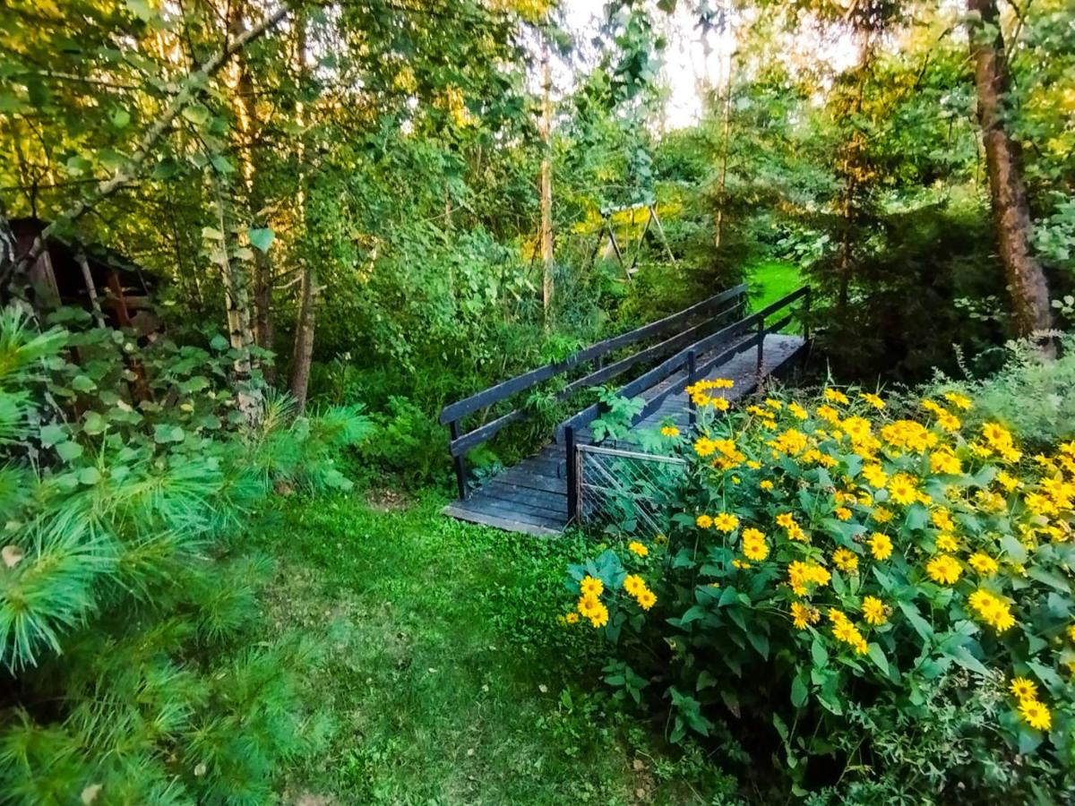 Garden House nad jeziorem Szelment - Housity