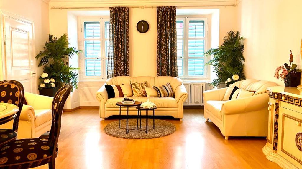 Beautiful 3-bedroom rental apartment in Lucerne - Housity